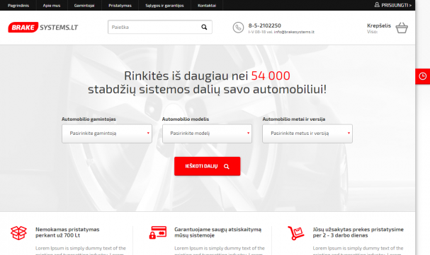 puslapių programavimas pavyzdžiai