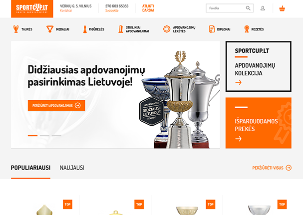 puslapių programavimas pavyzdžiai